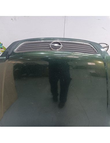 CAPÓ DELANTERO 1160253