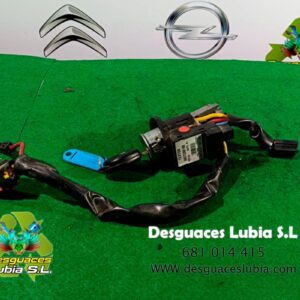 Conmutador de arranque Peugeot 206 1.9 D (71 cv)