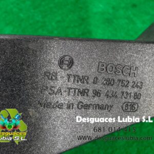 Potenciometro pedal Citroen Xsara Picasso (N68) 1.6 (110 cv)