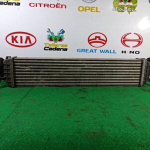 Intercooler Chevrolet Aveo II Hatchback 1.2 16V (86 cv)