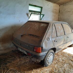 Despiece Peugeot 205 II (20A/C) 1.4 (60 cv) 1989