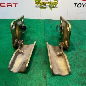 Bisagra Capot Citroen C3 Pluriel 1.6i 16V (109 cv) Automatico