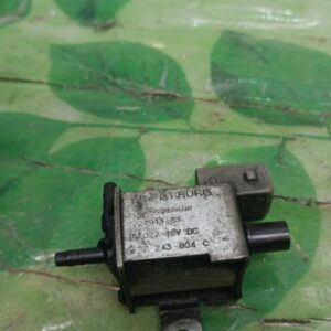 Valvula aire adicional Bmw Serie 5 (E39) 525 tds (143 cv)